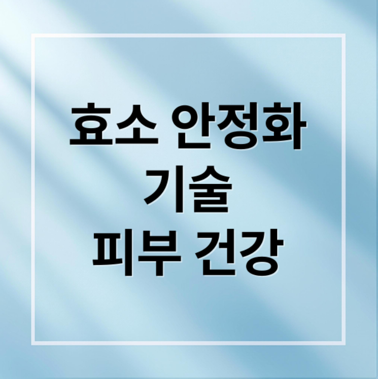 스크린샷 2025 12 08 204741