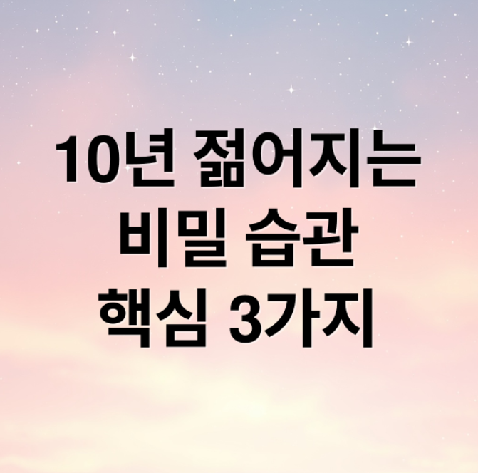 스크린샷 2025 12 24 211755