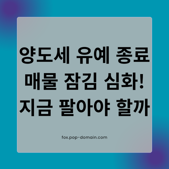 양도세 유예 종료 매물 잠김 심화 지금 팔아야 할까 1