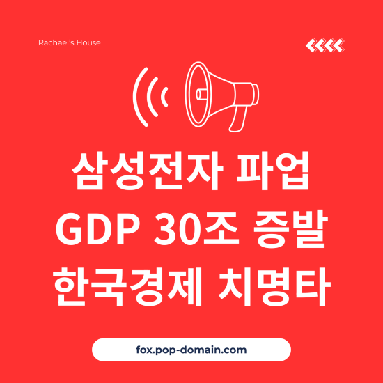 삼성전자 파업 GDP 30조 증발 한국경제 치명타