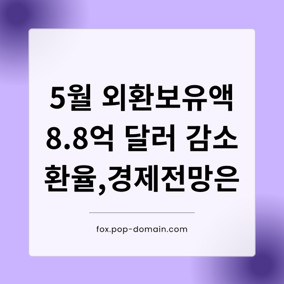 5월 외환보유액 8.8억달러 감소 환율경제전망은
