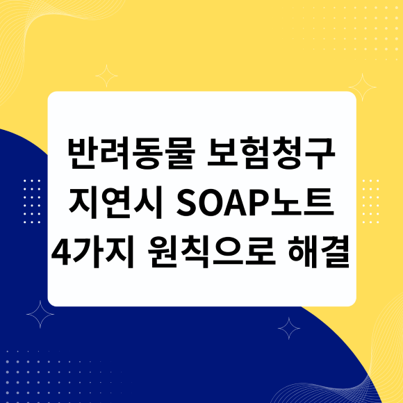 반려동물 보험청구 지연시 SOAP노트 4가지 원칙으로 해결