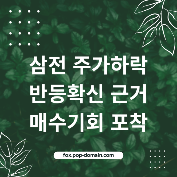 삼전 주가하락 반등확신 근거 매수기회 포착