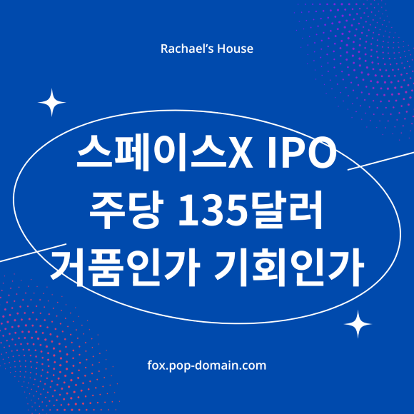 스페이스X IPO 주당 135달러 거품인가 기회인가